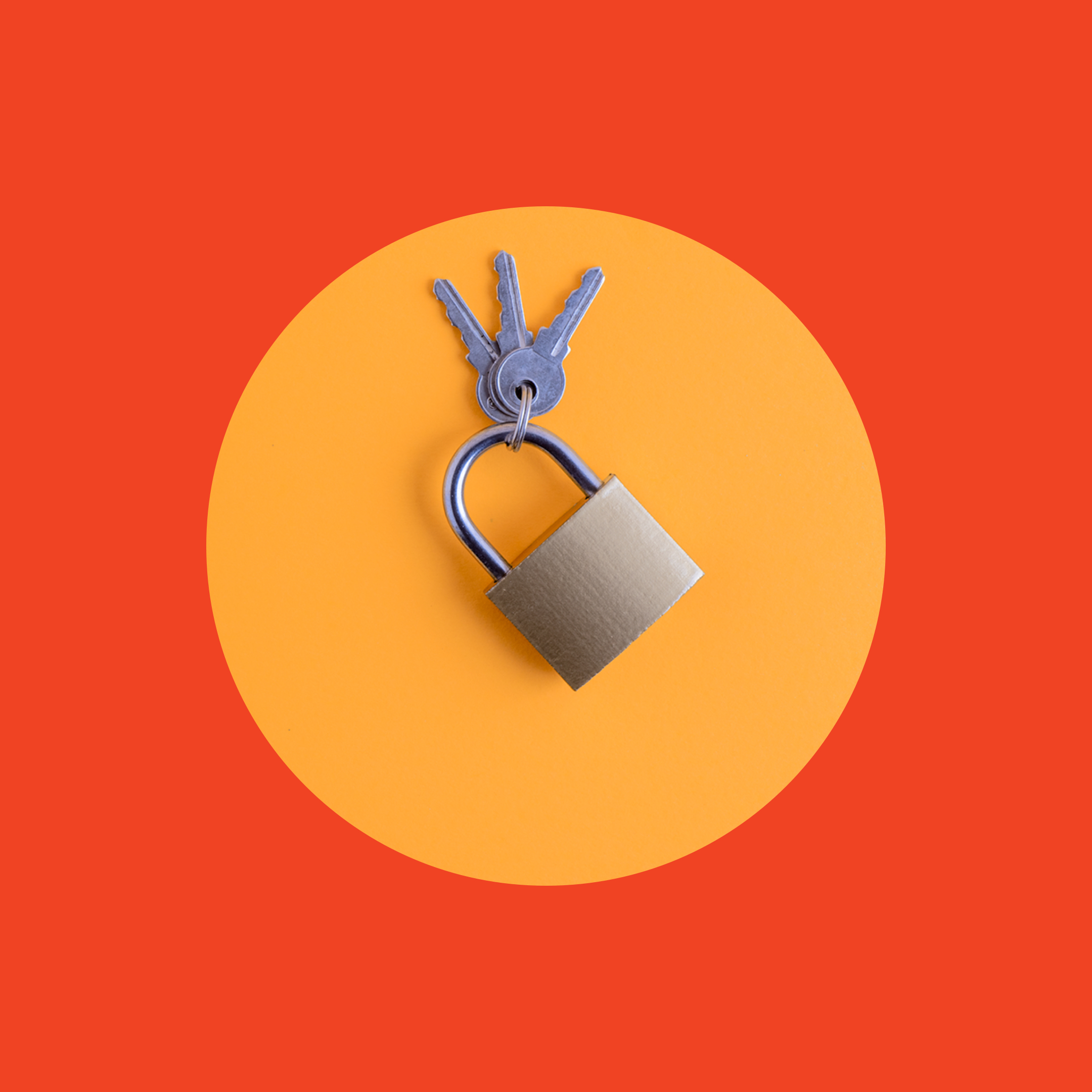 2-Alviere-Blog_beyond-managing-risk-securing-your-organizations-funds-2